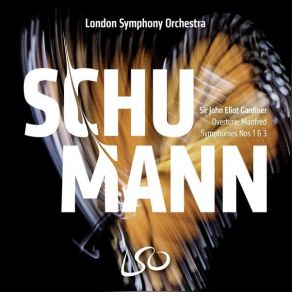 Download track 07. Symphonie No. 3 In E-Flat Major, Op. 97 II. Scherzo. Sehr Mäßig Robert Schumann