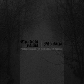 Download track The Cold Air Of A Solitary Night Twilight Fauna, Filsufatia