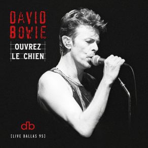 Download track Joe The Lion (Live At The Starplex Amphitheater, Dallas, 13th October, 1995) David BowieDallas