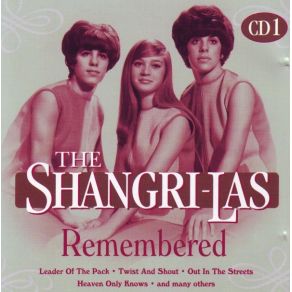 Download track Remember (Walkin' In The Sand) The Shangri - Las