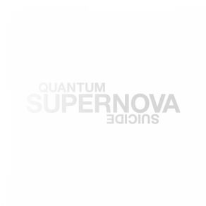 Download track Supernova Quantum Suicide