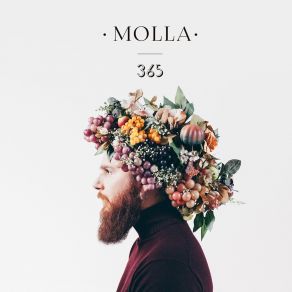 Download track 365 Molla