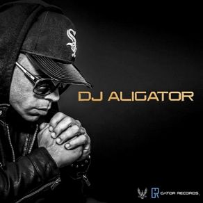 Download track Lollipop (Darude Vs. Js 16 Mix) DJ AligatorDarude