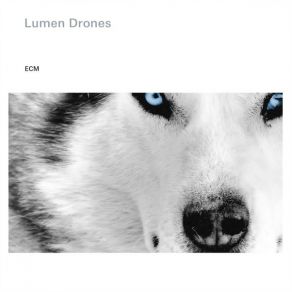 Download track Dark Sea Lumen Drones