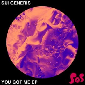 Download track You Got Me Sui Generis