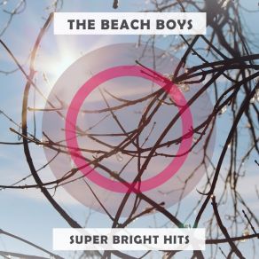 Download track Shut Down, Part II The Beach Boys