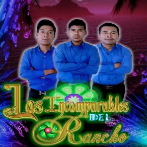 Download track Voy A Danzar Los Incomparables Del Rancho Mx