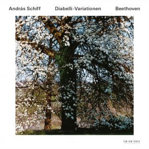 Download track Diabelli-Variationen, Op. 120: Var. IX. Allegro Pesante E Risoluto (Bechstein Piano) András Schiff