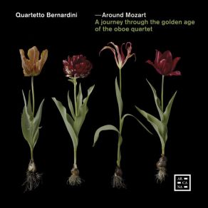 Download track Canone A Quatro Voci Del Sig. Kirnberger In A Minor Wolfgang Amadeus Mozart, Rolla, Quartetto Bernardini, Druschetzki, Dotzauer, Bochsa