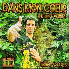 Download track Tout Va Trop Vite DON VALDES