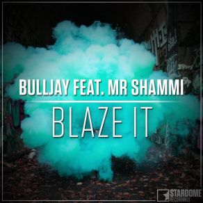 Download track Blaze It (Club Mix) Mr. Shammi