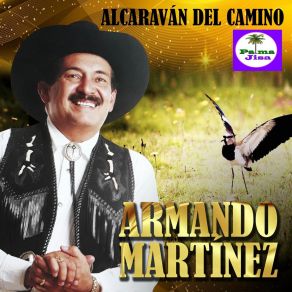 Download track Destino Negro Armando Martinez