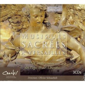 Download track Jean-Baptiste Lully: Miserere Mei Deus, LWV25 - Tibi Soli Peccavi Les Pages & Les Chantres