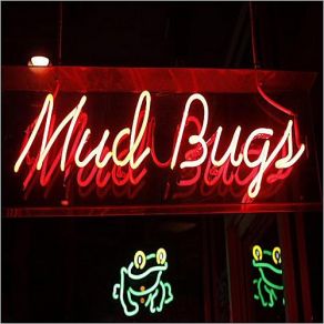 Download track Signed, Sealed, Delivered Zydeco Band, The Mudbugs Cajun