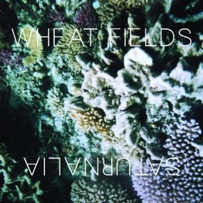Download track Saturnalia Wheat Fields