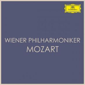 Download track Symphony No. 12 In G, K. 110 2. Andante Wiener Philarmoniker