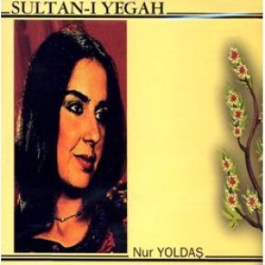 Download track Disko Segah Nur Yoldaş