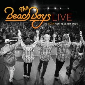 Download track Add Some Music To Your Day Mike Love, The Beach Boys
