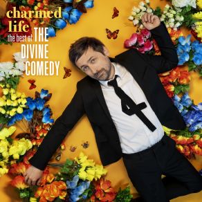 Download track A Lady Of A Certain Age The Divine Comedy