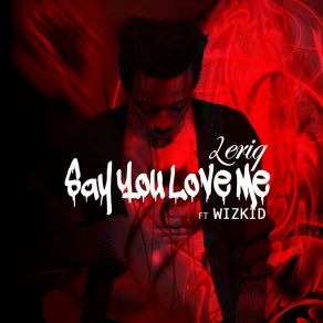 Download track Say You Love Me WizKid