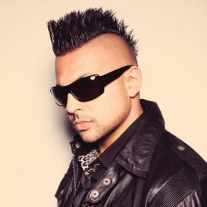 Download track It's Your Life Sean Paul