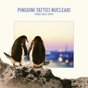 Download track La Banalità Del Mare Pinguini Tattici Nucleari