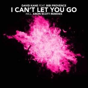 Download track I Cant Let You Go (Radio Edit) David Kane, Bibi Provence