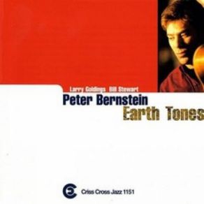 Download track Acrobat Peter Bernstein