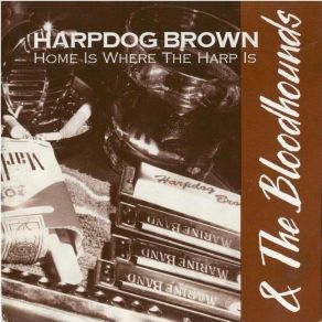 Download track Rocket 88 (Live) Harpdog Brown