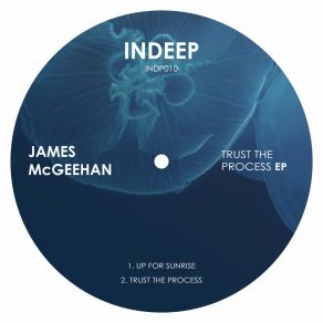 Download track Trust The Process James McGeehan