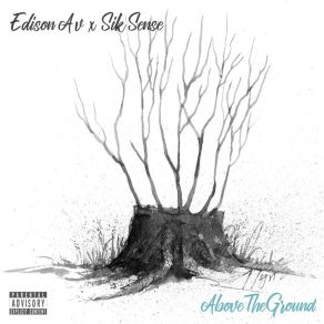 Download track Crow's Nest Edison Av