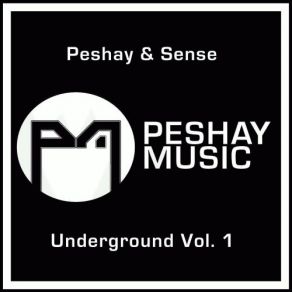 Download track Messin With My Mind Peshay, The Sense