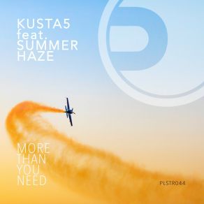 Download track More Than You Need (Maestri Remix) Summer Haze