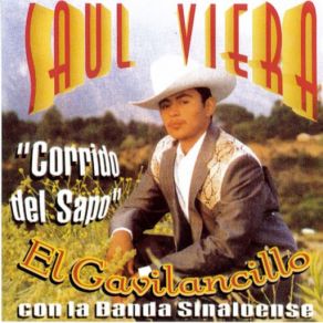 Download track Pajarillo Barranqueno Saul Viera 