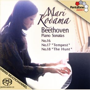 Download track Piano Sonata No. 16 In G Major Op. 31 - III. Rondo Allegretto Mari Kodama