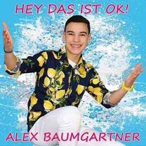 Download track Wir Feiern Ab Heute Das Leben Alex Baumgartner