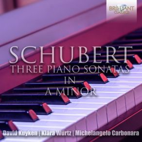 Download track Piano Sonata In A Minor, Op. 143, D. 784: III. Allegro Vivace Klara Wurtz, David Kuyken, Michelangelo Carbonara