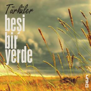 Download track Dün Gece Yar Hanesinde (Erzurum Tatyan)  Türküler Beşi Bir Yerde