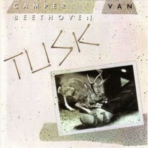 Download track Tusk Camper Van Beethoven