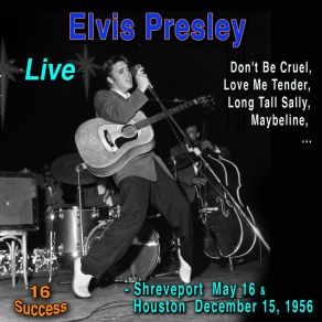 Download track Heartbreak Hotel (Live) Elvis Presley