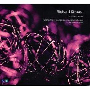 Download track 11. Don Quixote Op. 35 - XI. Variation IX Schnell Und Stürmisch Richard Strauss
