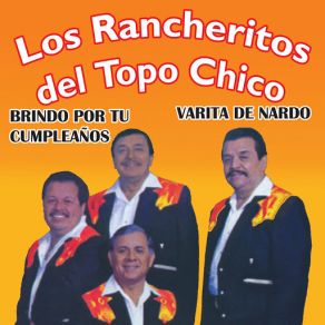 Download track Al Pie De La Roca Los Rancheritos Del Topo Chico