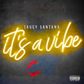 Download track It's A Vibe Saucy SantanaDreamDoll, LightSkinKeisha