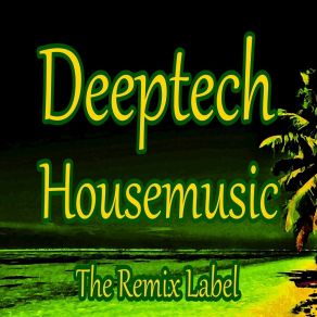 Download track Deeptech Housemusic (WEmixer DeejayFriendly Dub Techno Meets Deep Acid House Music DJ Mix) Dubacid
