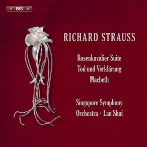 Download track 07. Tod Und Verklärung, Op. 24, TrV 158 Richard Strauss
