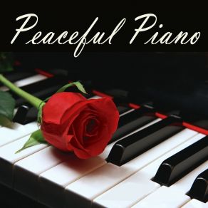 Download track Echoes Of You The Peaceful Pianist