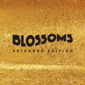 Download track Smashed Pianos Blossoms
