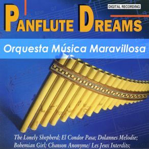Download track Dolannes Melodie Orquesta Música Maravillosa