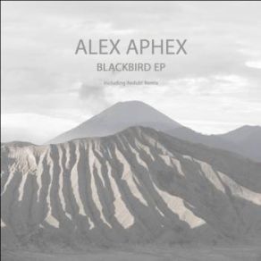Download track Blackbird Alex Aphex