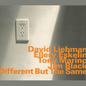 Download track How Do I Know Ellery Eskelin, David Liebman